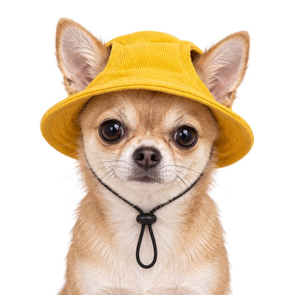Bonnet Coconcosy | Chapeau pour Chats & Chiens